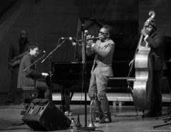 Roy Hargrove Quintet, "Большой джазовый оркестр" Петра Востокова и японский саксофонист Ken Ota на фестивале "Триумф джаза"