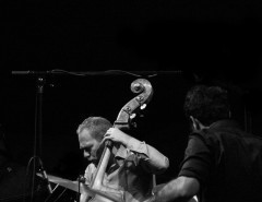 Avishai Cohen Trio