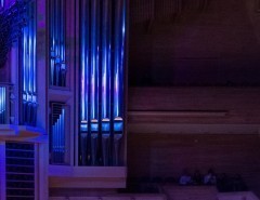 Rudresh Mahanthappa (саксофонист)