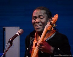 Richard Bona (гитара)