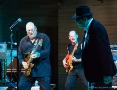 The Original Blues Brothers Band в ММДМ 17.10.2014