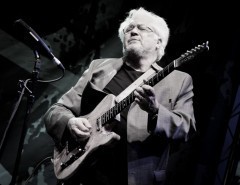 Larry Coryell  (гитара) на фестивале Усадьба ДЖАЗЗ 2013